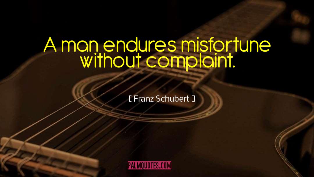 Franz Schubert Quotes: A man endures misfortune without