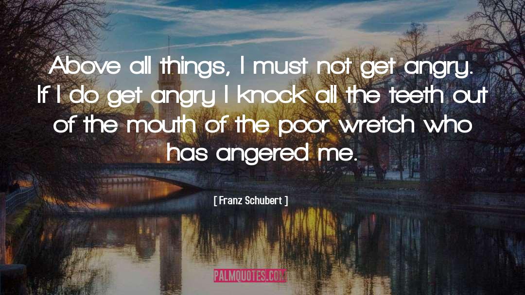 Franz Schubert Quotes: Above all things, I must