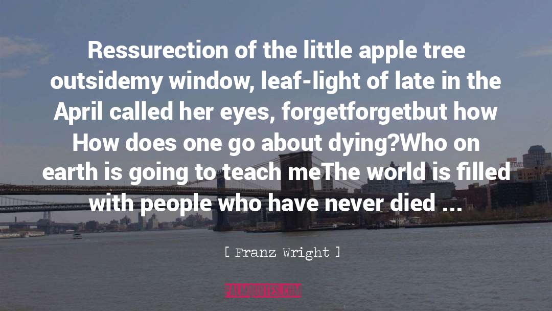 Franz Wright Quotes: Ressurection of the little apple