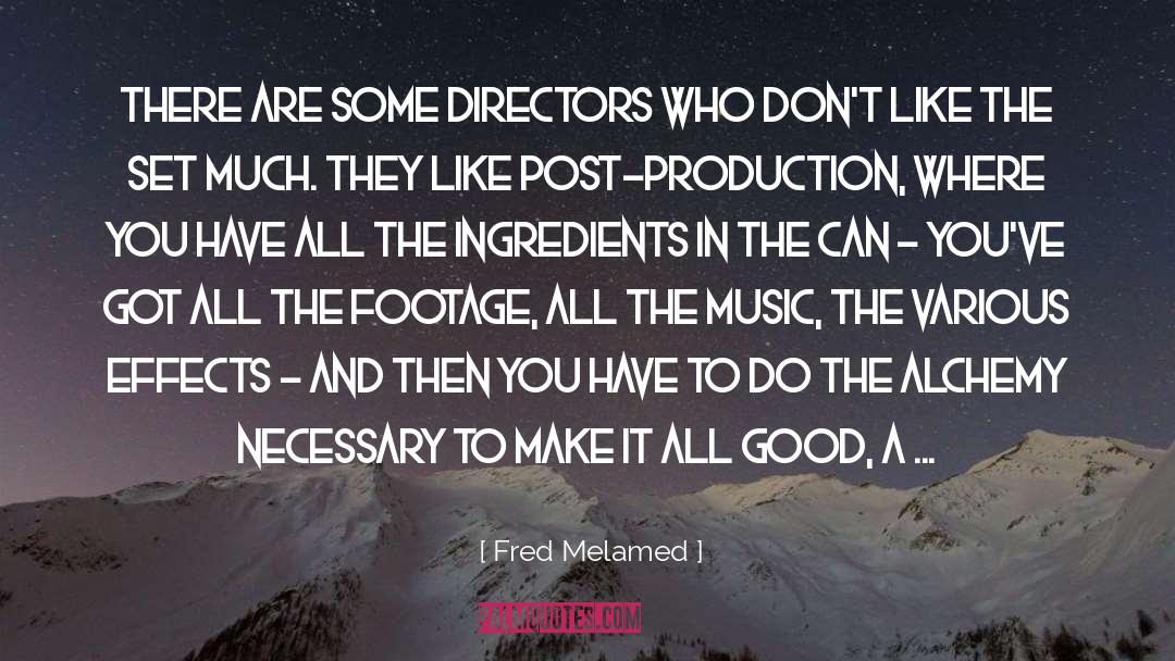 Fred Melamed Quotes: There are some directors who