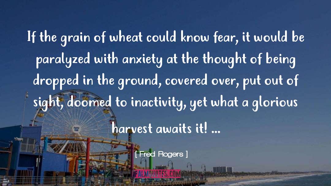 Fred Rogers Quotes: If the grain of wheat