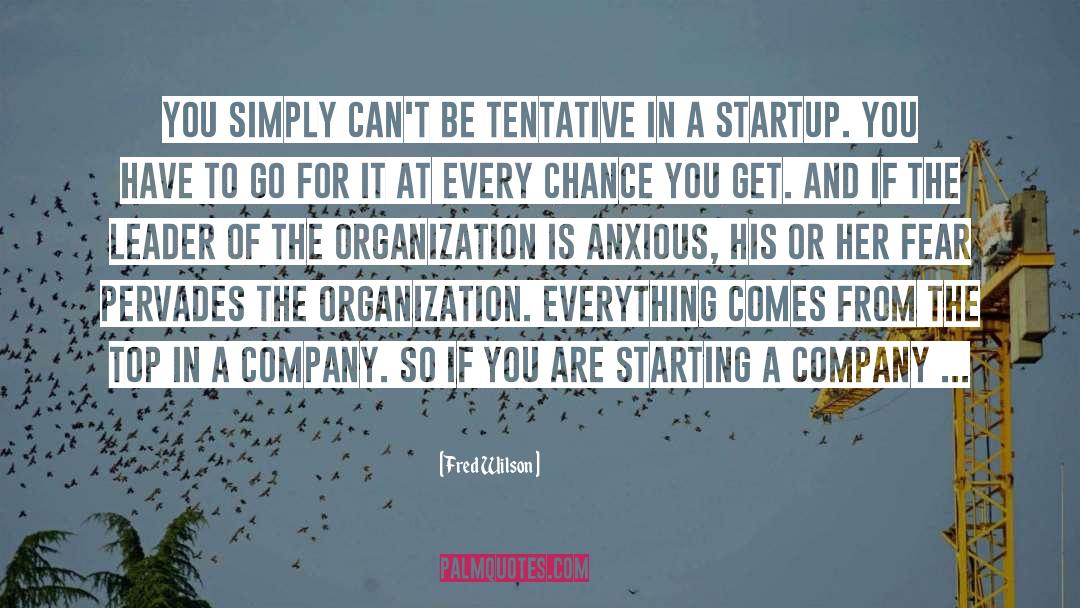 Fred Wilson Quotes: You simply can't be tentative