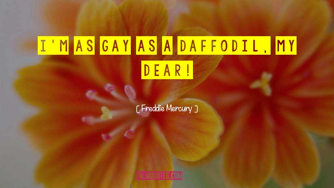 Freddie Mercury Quotes: I'm as gay as a