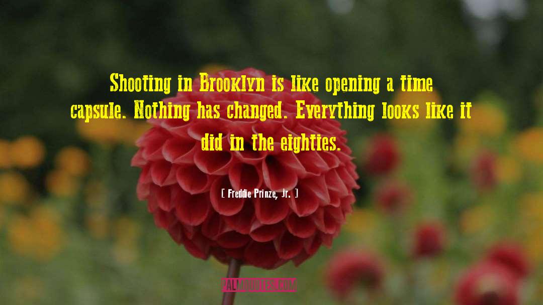 Freddie Prinze, Jr. Quotes: Shooting in Brooklyn is like