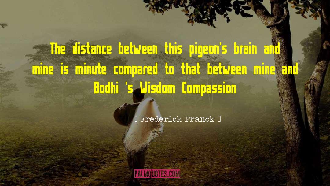 Frederick Franck Quotes: The distance between this pigeon's