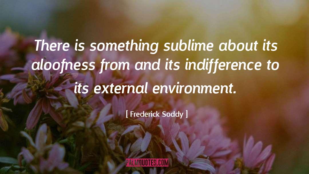 Frederick Soddy Quotes: There is something sublime about