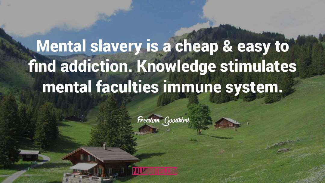 Freedom Goodbird Quotes: Mental slavery is a cheap