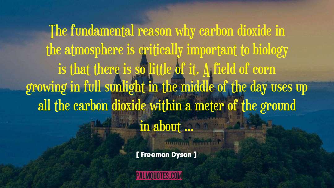 Freeman Dyson Quotes: The fundamental reason why carbon