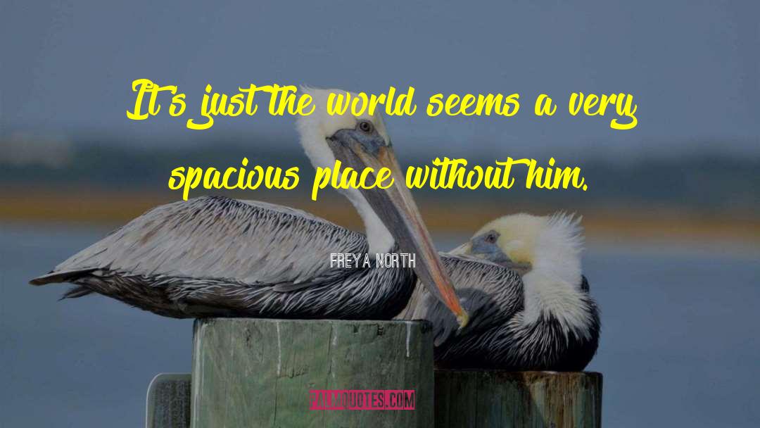 Freya North Quotes: It's just the world seems