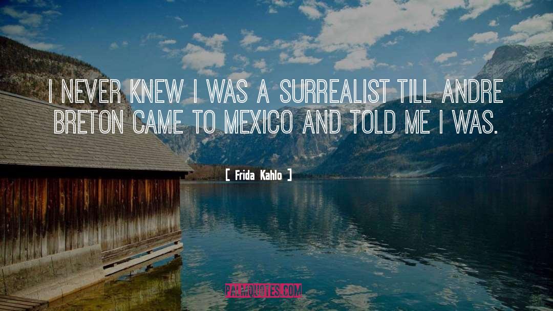 Frida Kahlo Quotes: I never knew I was