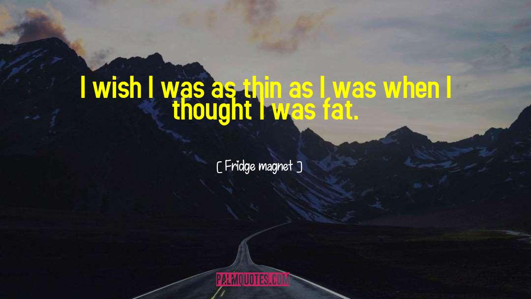 Fridge Magnet Quotes: I wish I was as