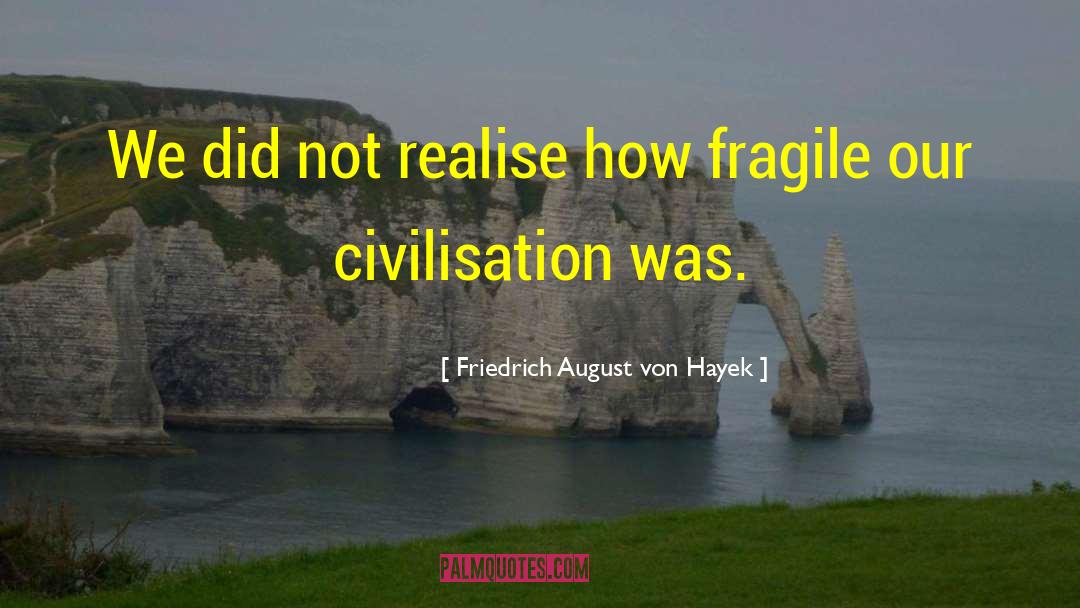 Friedrich August Von Hayek Quotes: We did not realise how