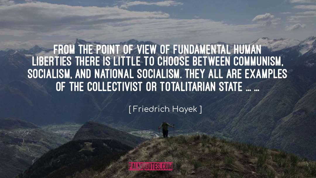 Friedrich Hayek Quotes: From the point of view