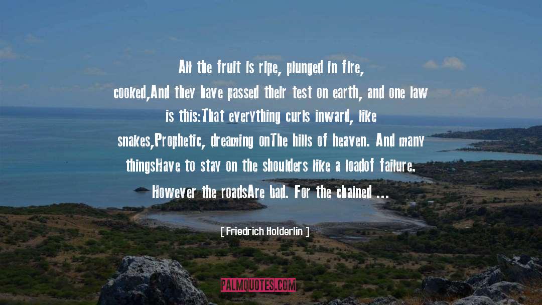 Friedrich Holderlin Quotes: All the fruit is ripe,