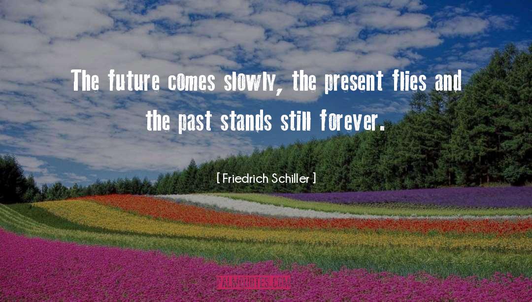 Friedrich Schiller Quotes: The future comes slowly, the