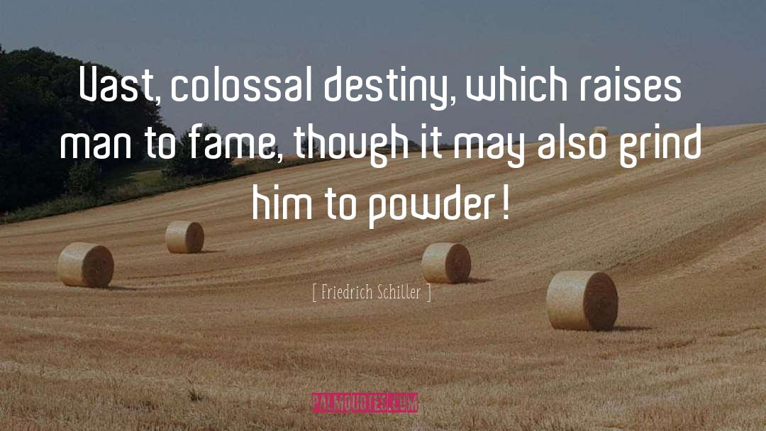 Friedrich Schiller Quotes: Vast, colossal destiny, which raises