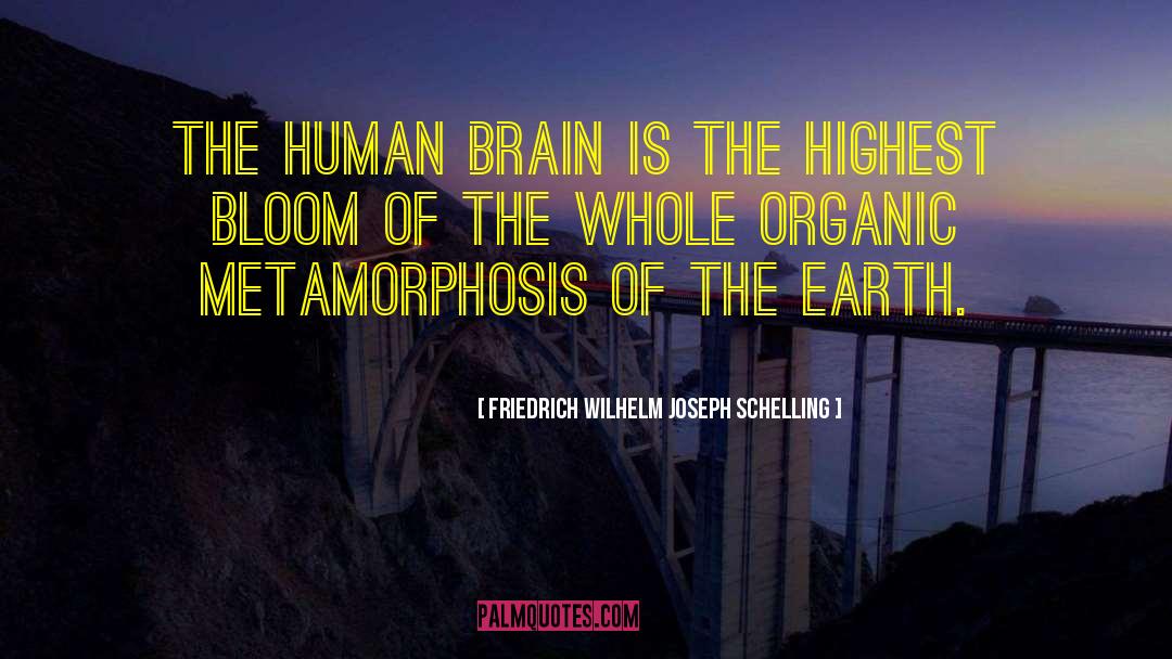 Friedrich Wilhelm Joseph Schelling Quotes: The human brain is the