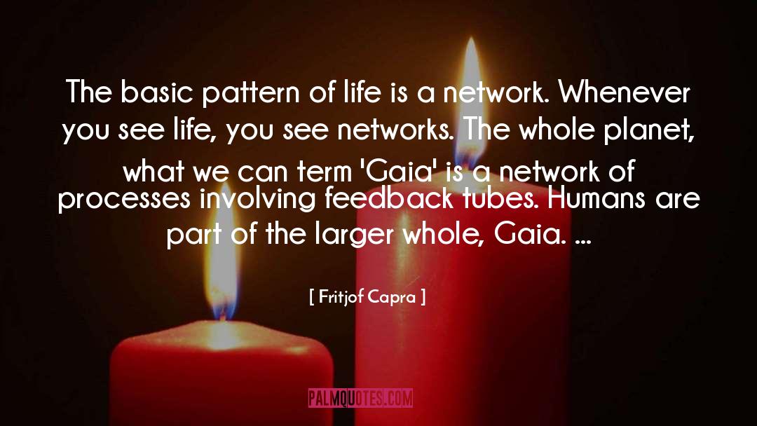 Fritjof Capra Quotes: The basic pattern of life