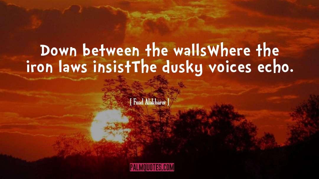 Fuad Alakbarov Quotes: Down between the walls<br />Where