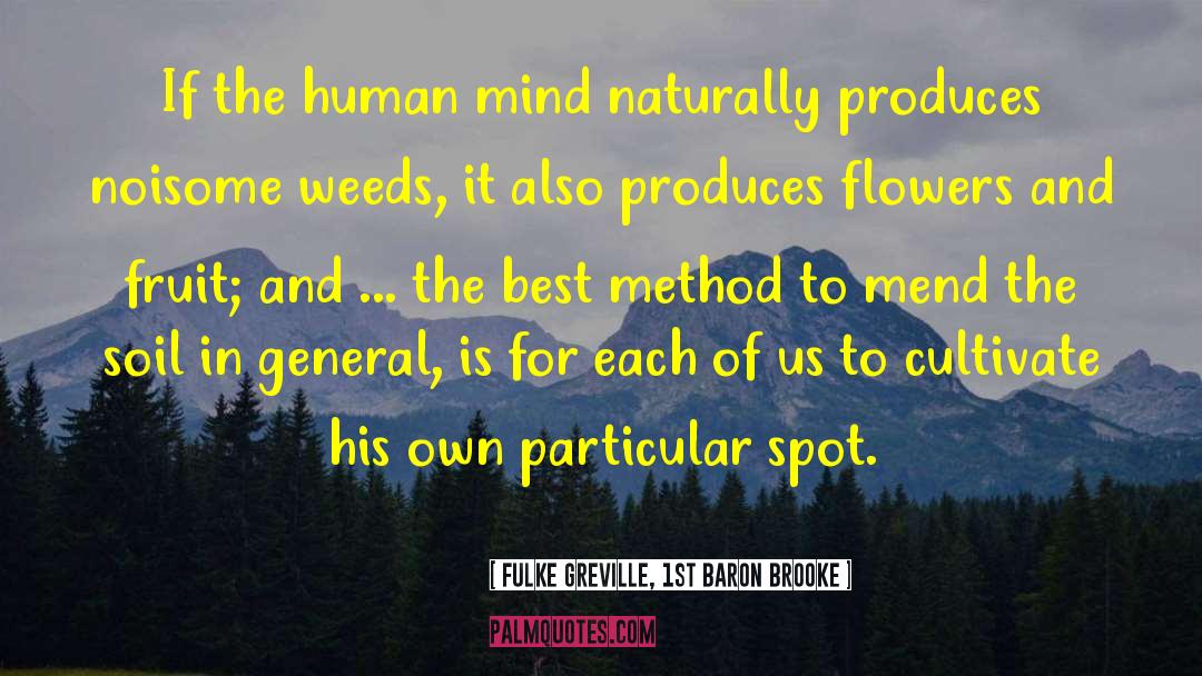 Fulke Greville, 1st Baron Brooke Quotes: If the human mind naturally