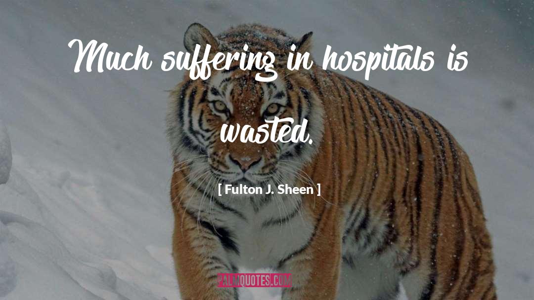 Fulton J. Sheen Quotes: Much suffering in hospitals is