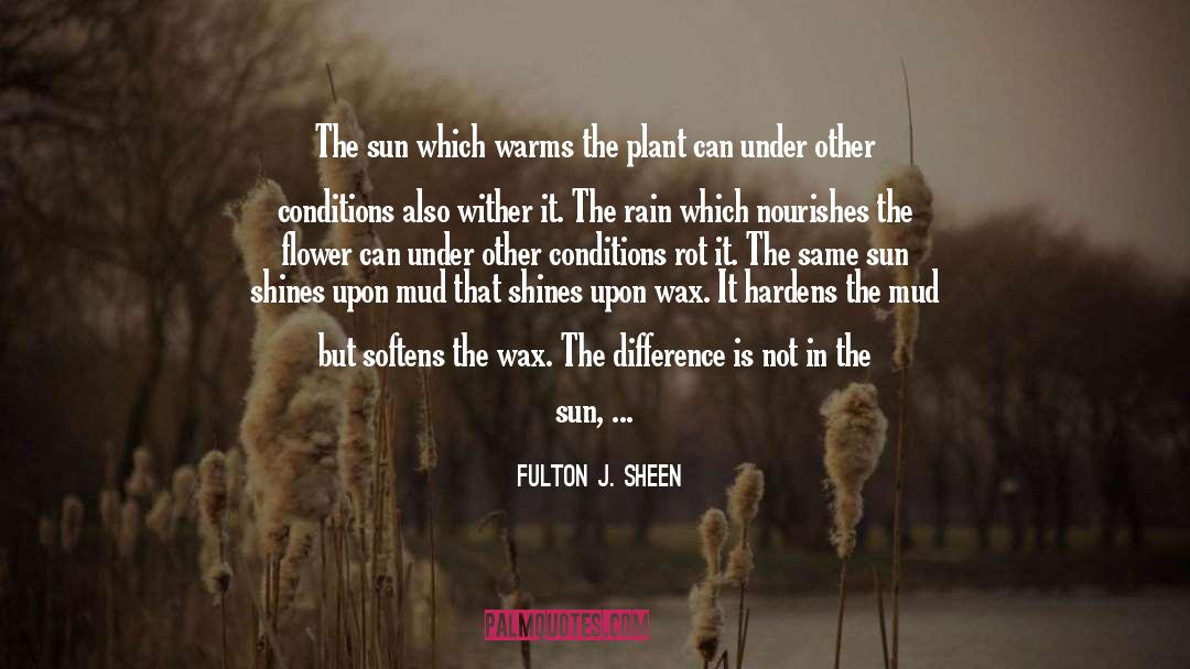 Fulton J. Sheen Quotes: The sun which warms the