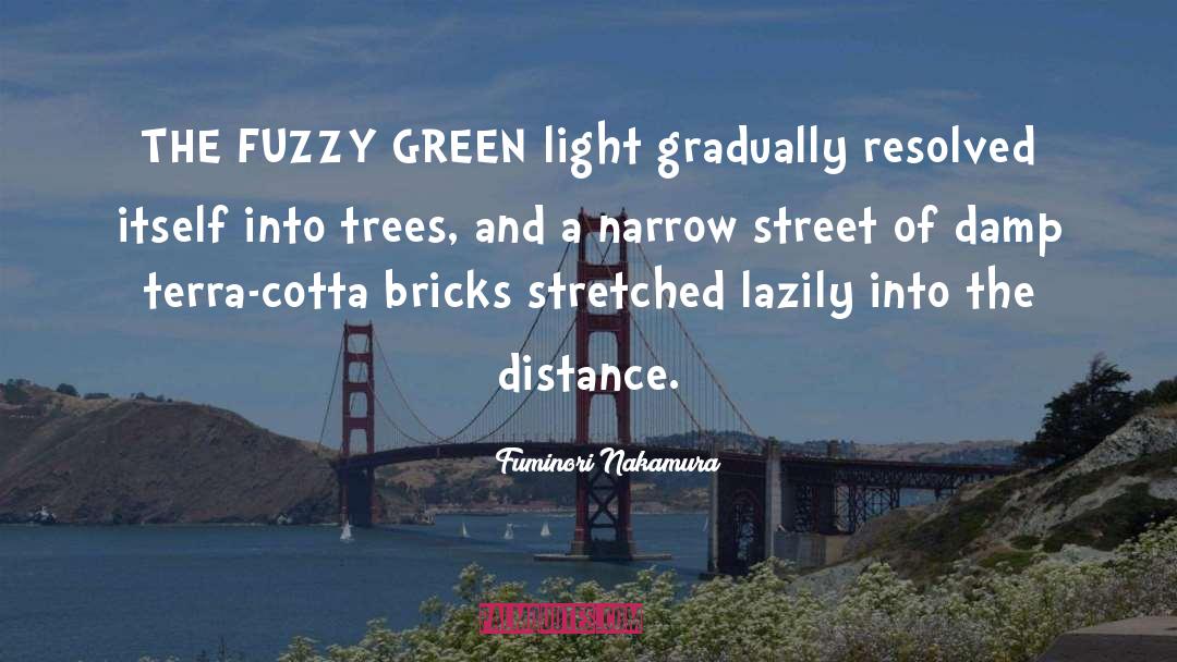 Fuminori Nakamura Quotes: THE FUZZY GREEN light gradually