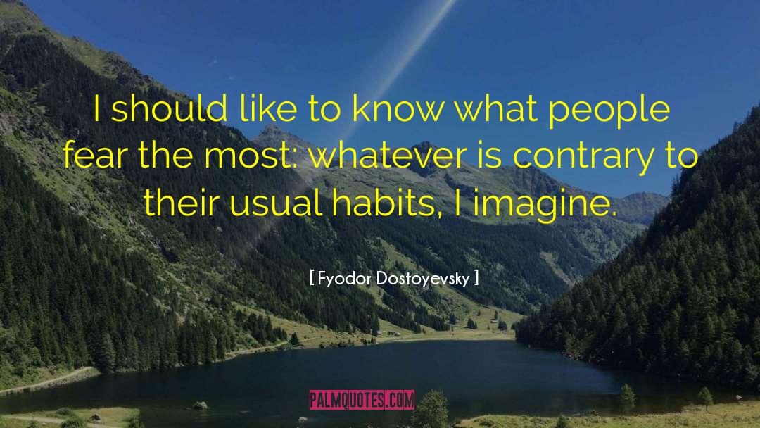 Fyodor Dostoyevsky Quotes: I should like to know