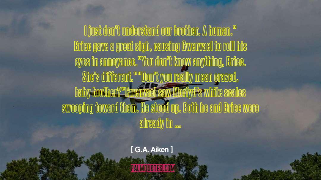 G.A. Aiken Quotes: I just don't understand our