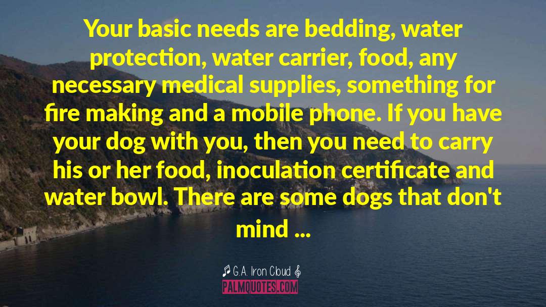 G.A. Iron Cloud Quotes: Your basic needs are bedding,