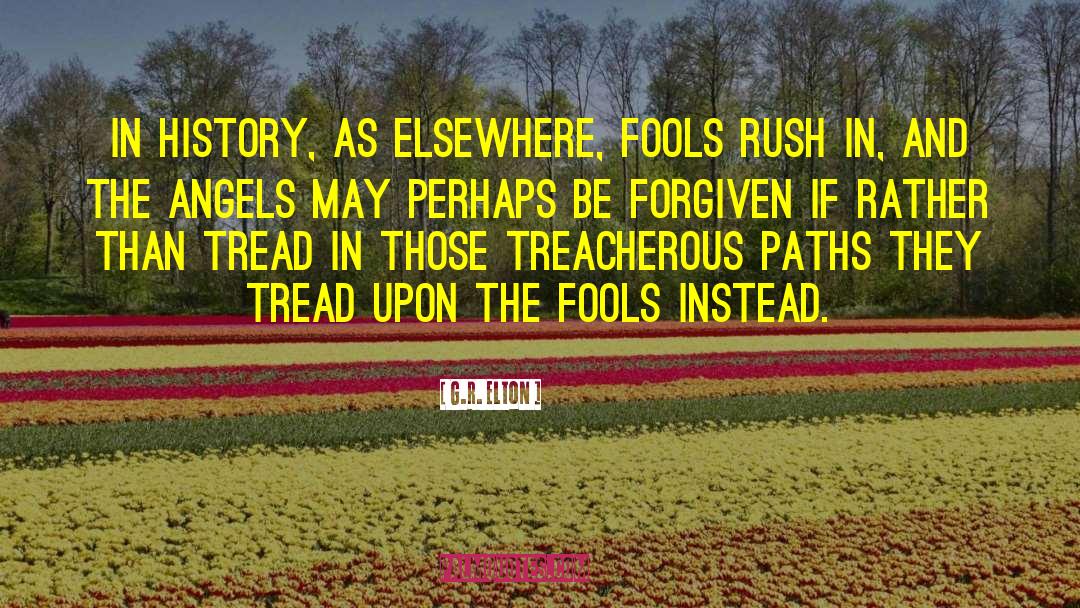 G.R. Elton Quotes: In history, as elsewhere, fools
