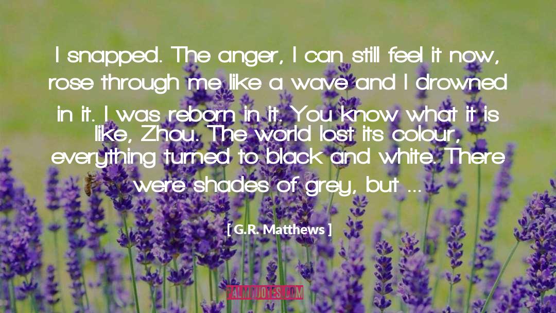 G.R. Matthews Quotes: I snapped. The anger, I