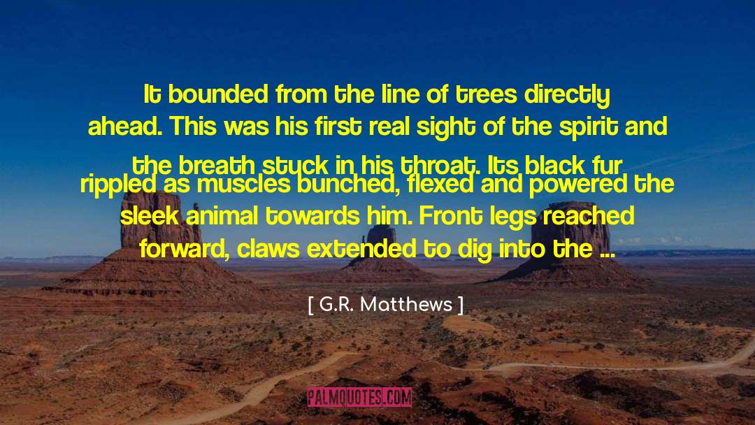 G.R. Matthews Quotes: It bounded from the line