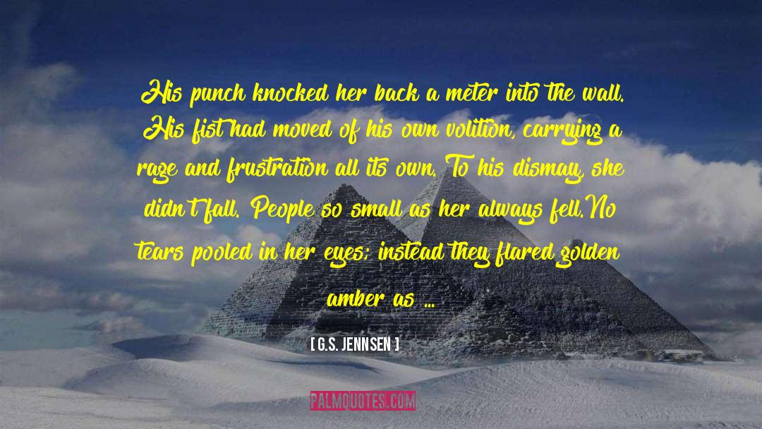 G.S. Jennsen Quotes: His punch knocked her back
