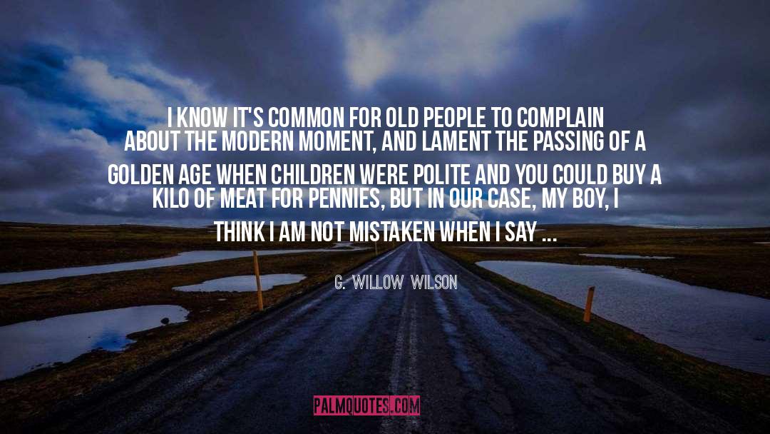 G. Willow Wilson Quotes: I know it's common for