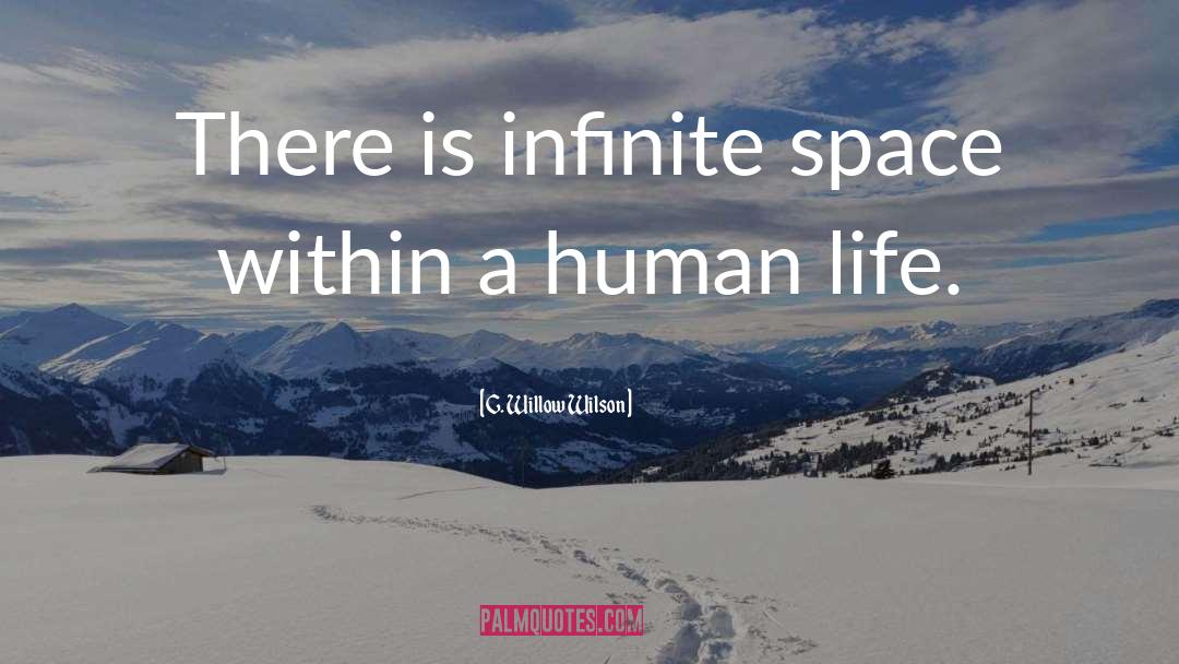 G. Willow Wilson Quotes: There is infinite space within