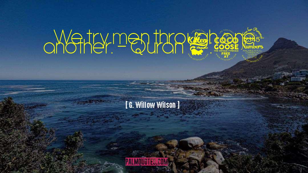 G. Willow Wilson Quotes: We try men through one