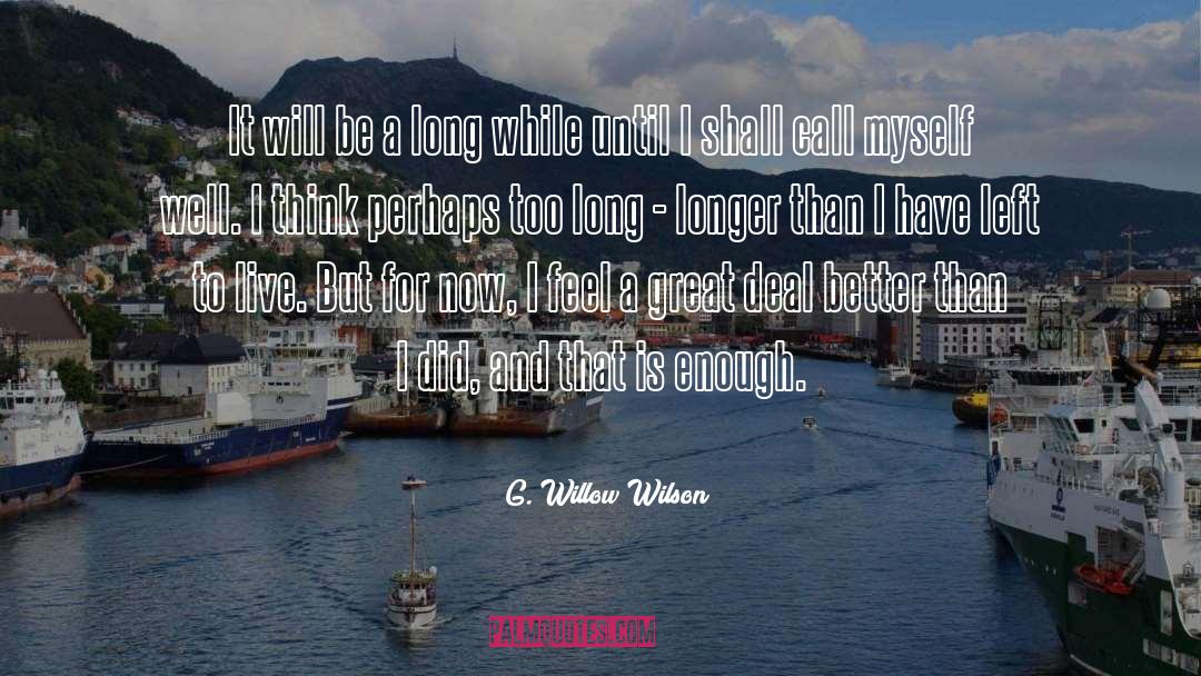 G. Willow Wilson Quotes: It will be a long