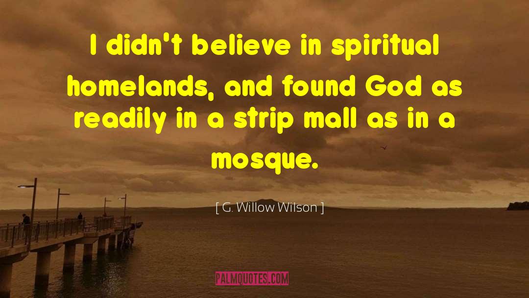 G. Willow Wilson Quotes: I didn't believe in spiritual