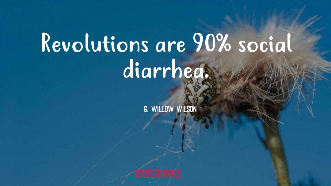 G. Willow Wilson Quotes: Revolutions are 90% social diarrhea.