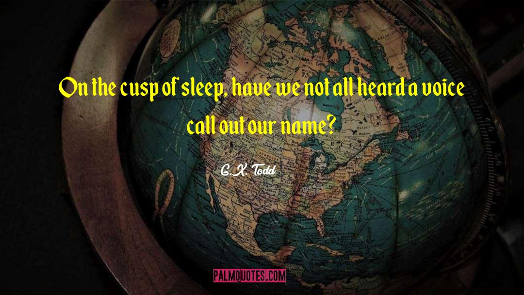 G.X. Todd Quotes: On the cusp of sleep,