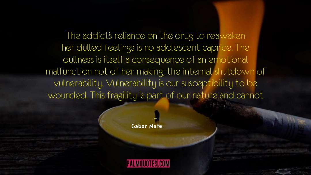 Gabor Mate Quotes: The addict's reliance on the