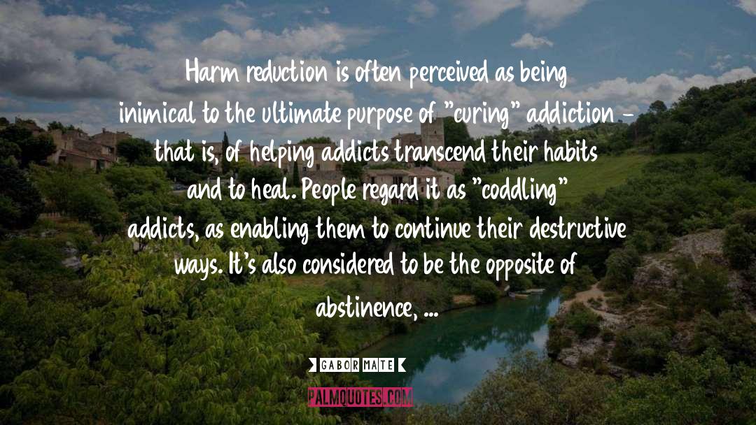 Gabor Mate Quotes: Harm reduction is often perceived