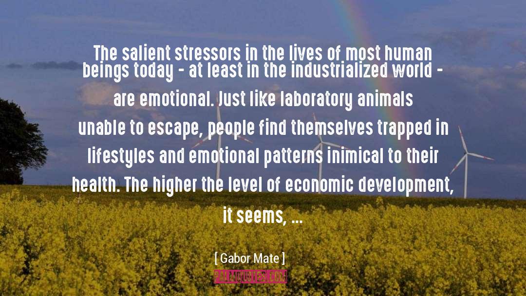 Gabor Mate Quotes: The salient stressors in the