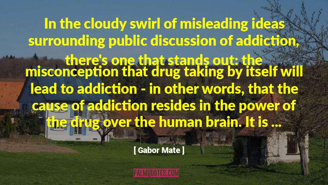 Gabor Mate Quotes: In the cloudy swirl of