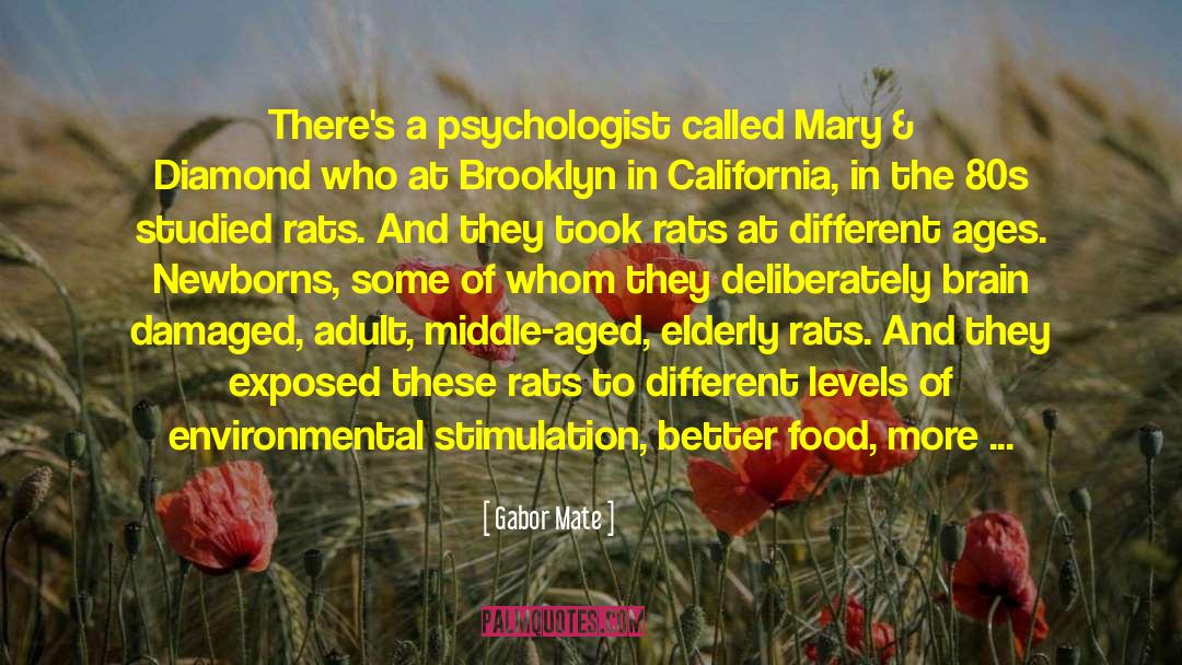 Gabor Mate Quotes: There's a psychologist called Mary