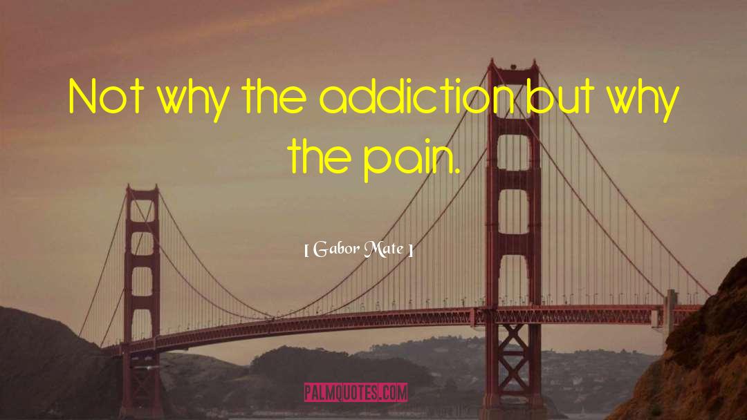 Gabor Mate Quotes: Not why the addiction but