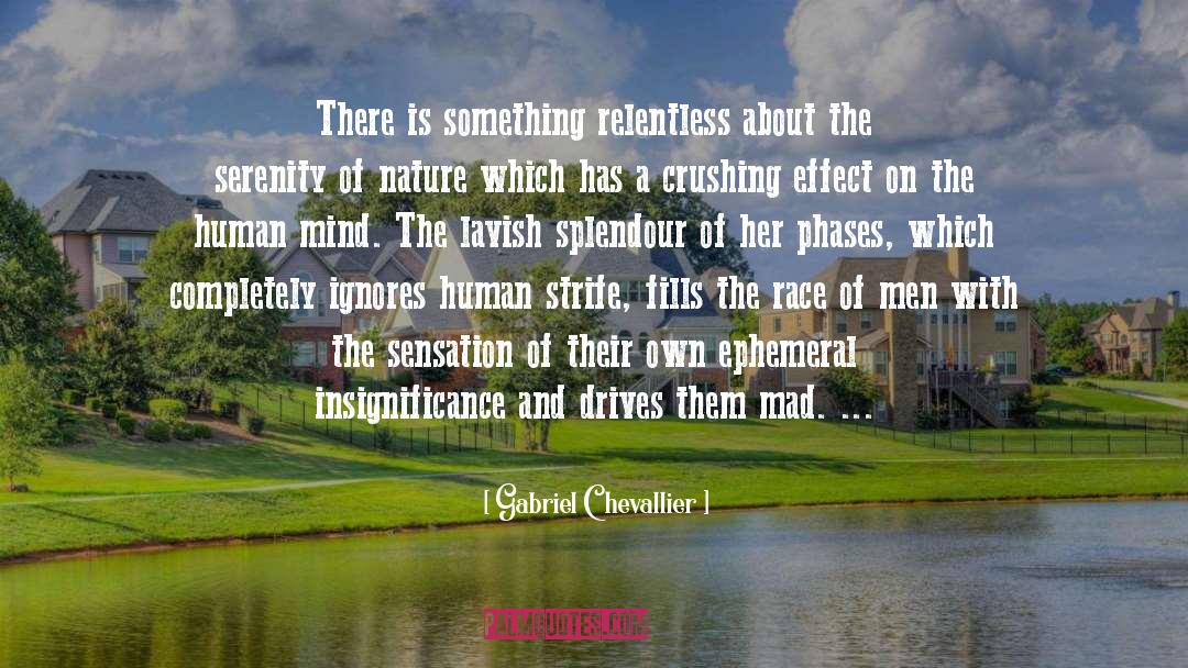 Gabriel Chevallier Quotes: There is something relentless about