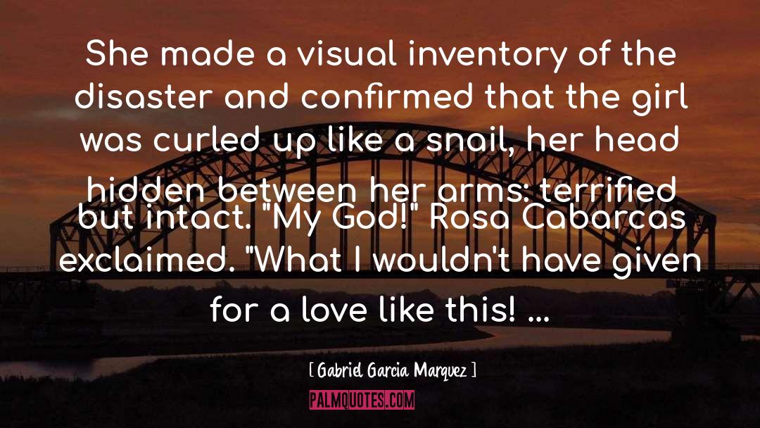 Gabriel Garcia Marquez Quotes: She made a visual inventory