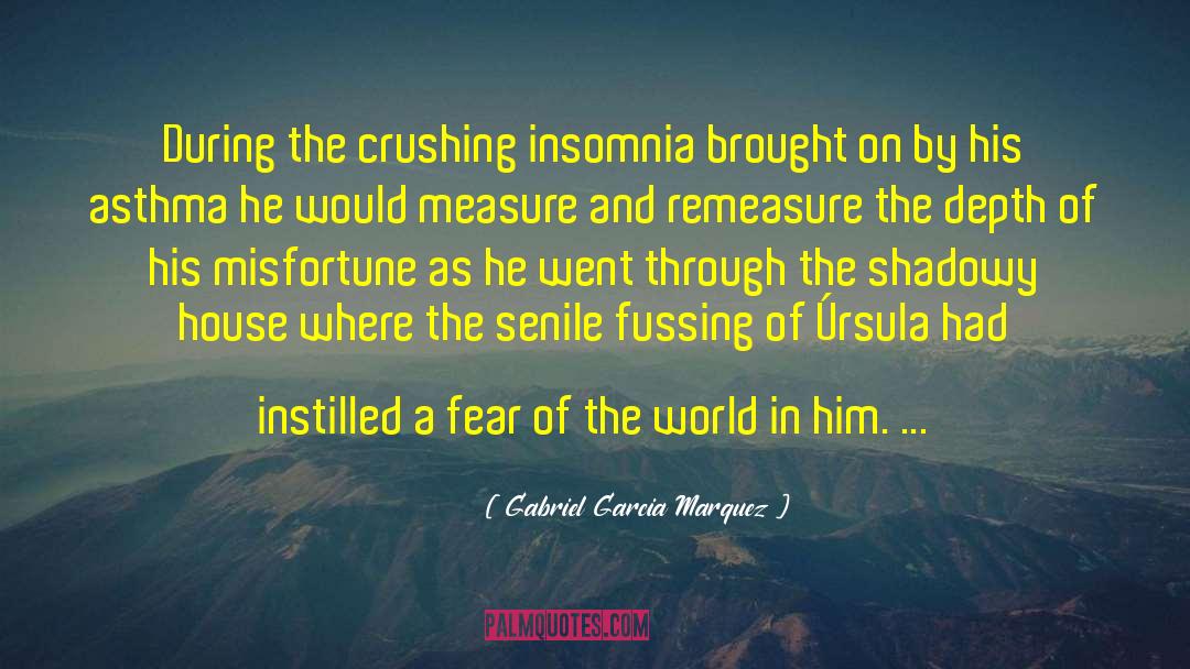 Gabriel Garcia Marquez Quotes: During the crushing insomnia brought